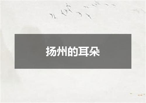 扬州的耳朵