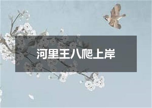 河里王八爬上岸