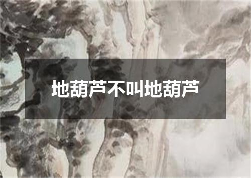 地葫芦不叫地葫芦