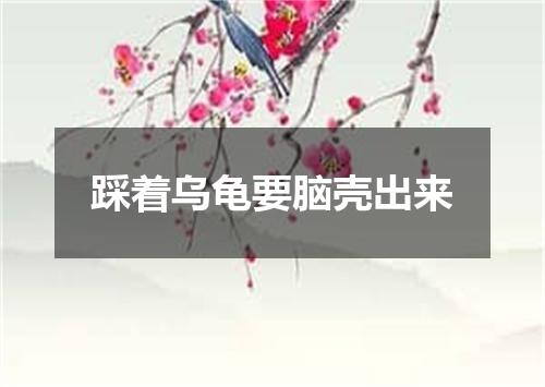 踩着乌龟要脑壳出来