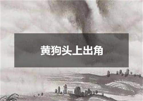 黄狗头上出角