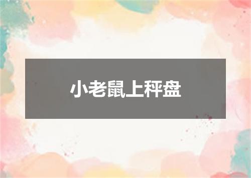 小老鼠上秤盘