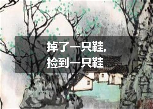 掉了一只鞋,捡到一只鞋