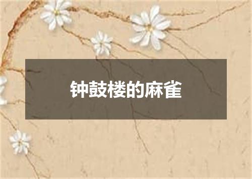 钟鼓楼的麻雀