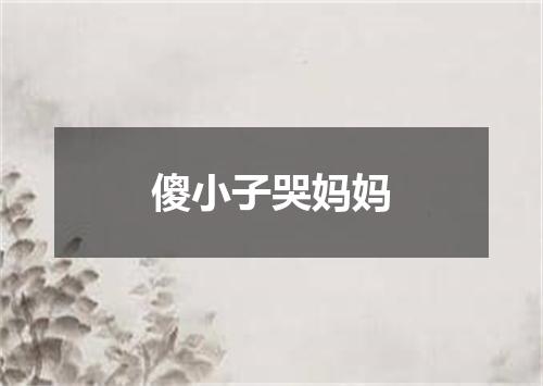 傻小子哭妈妈