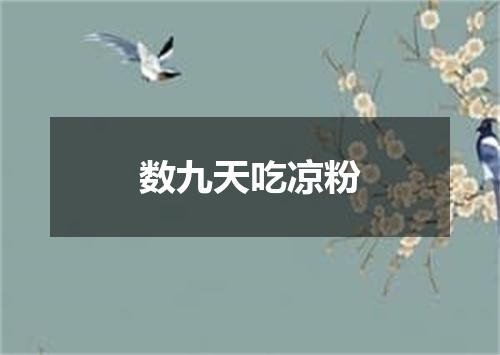 数九天吃凉粉