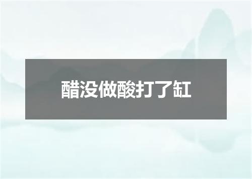 醋没做酸打了缸