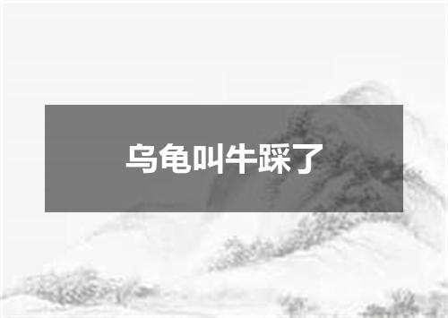 乌龟叫牛踩了
