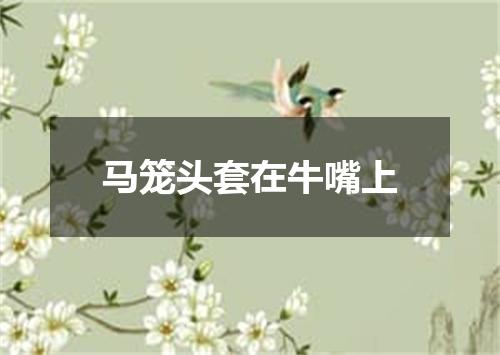 马笼头套在牛嘴上