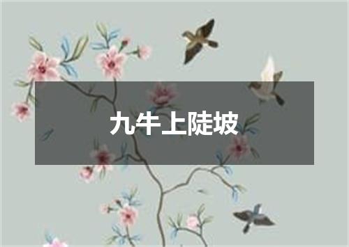 九牛上陡坡