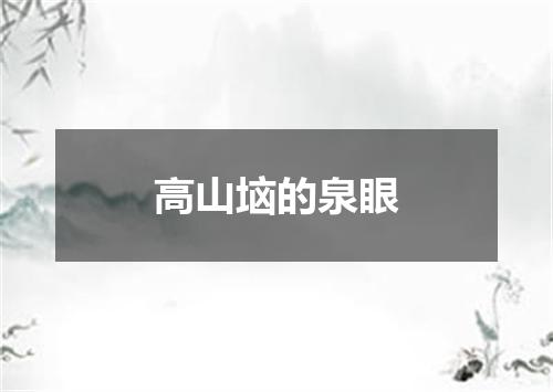 高山垴的泉眼
