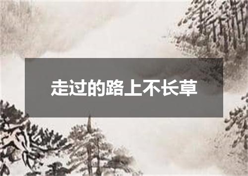 走过的路上不长草