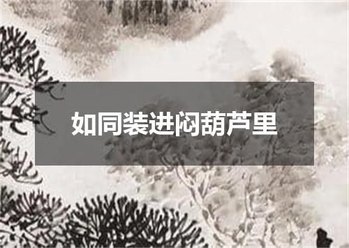 如同装进闷葫芦里