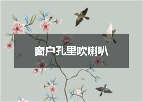 窗户孔里吹喇叭