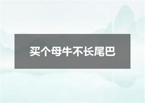 买个母牛不长尾巴