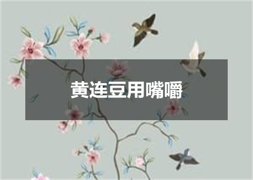 黄连豆用嘴嚼
