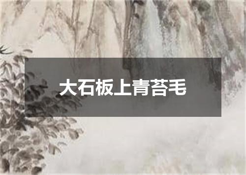 大石板上青苔毛