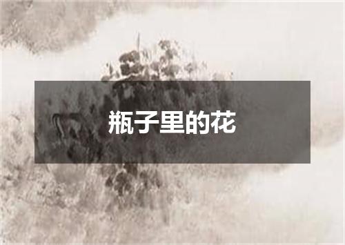 瓶子里的花
