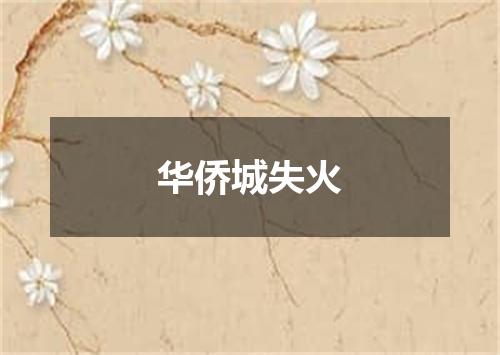 华侨城失火