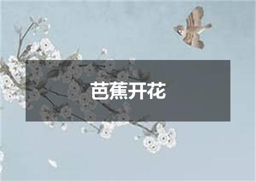 芭蕉开花