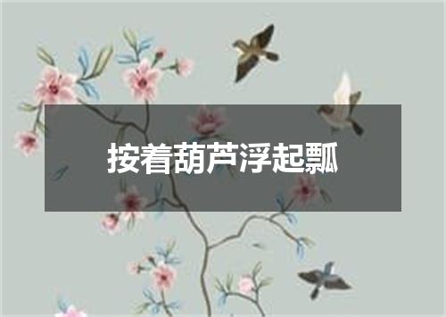 按着葫芦浮起瓢