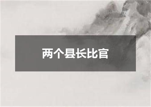 两个县长比官