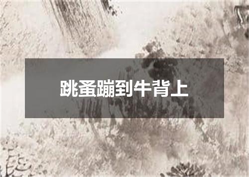 跳蚤蹦到牛背上