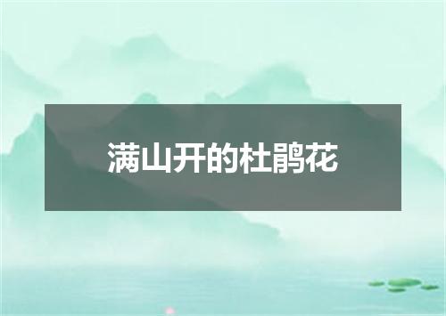 满山开的杜鹃花