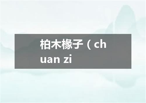 柏木椽子（chuan zi