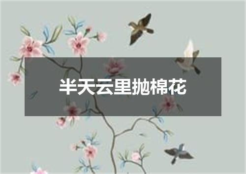 半天云里抛棉花