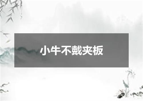 小牛不戴夹板