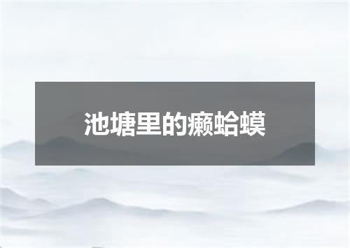 池塘里的癞蛤蟆