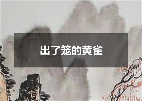 出了笼的黄雀