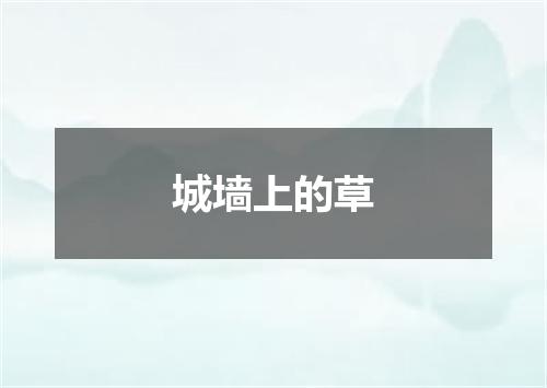 城墙上的草