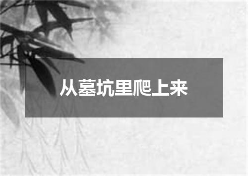 从墓坑里爬上来