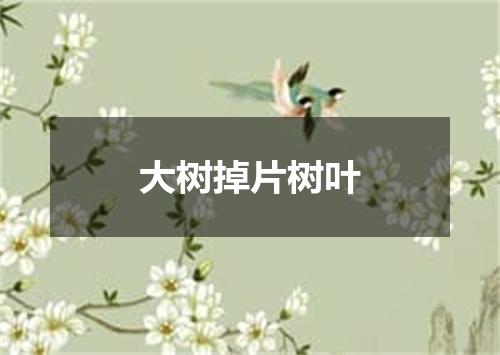 大树掉片树叶