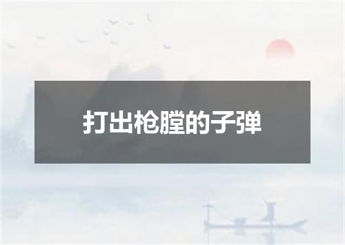 打出枪膛的子弹