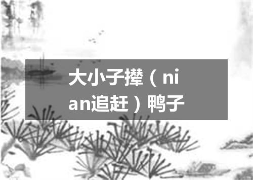 大小子撵（nian追赶）鸭子
