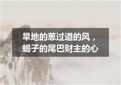 旱地的葱过道的风，蝎子的尾巴财主的心