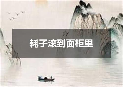耗子滚到面柜里
