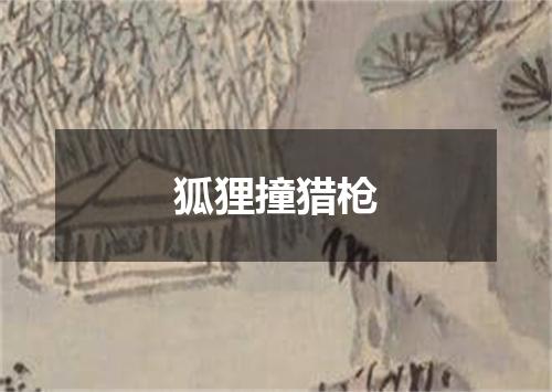 狐狸撞猎枪