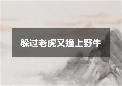 躲过老虎又撞上野牛