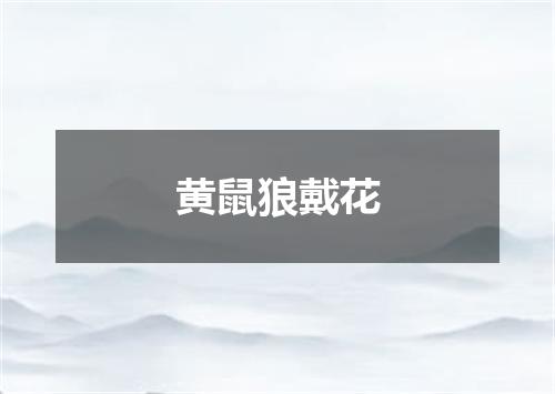 黄鼠狼戴花