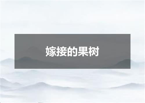 嫁接的果树