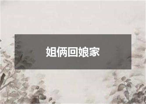 姐俩回娘家