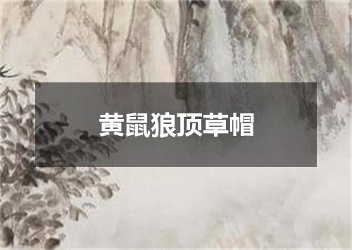 黄鼠狼顶草帽