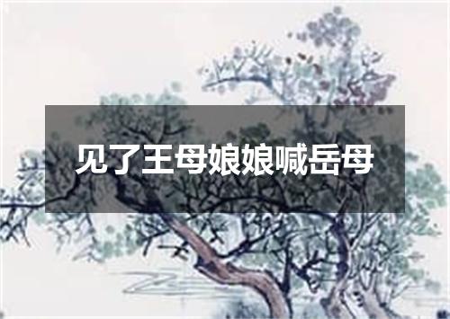 见了王母娘娘喊岳母
