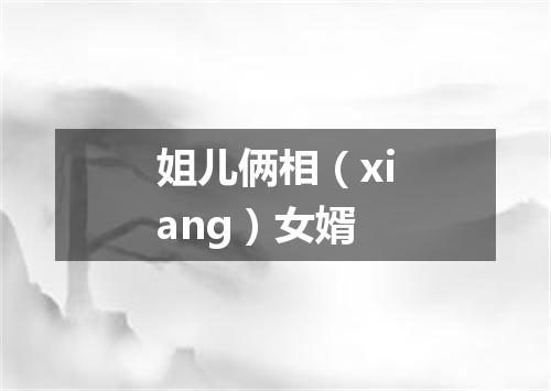姐儿俩相（xiang）女婿