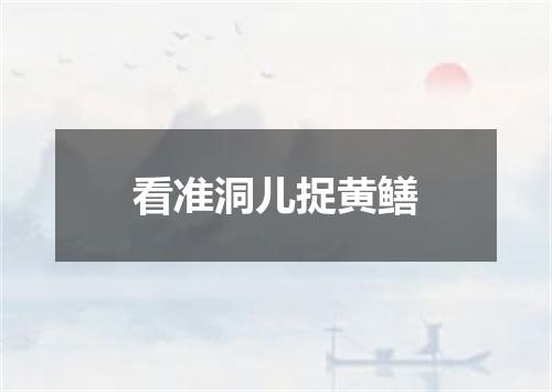 看准洞儿捉黄鳝