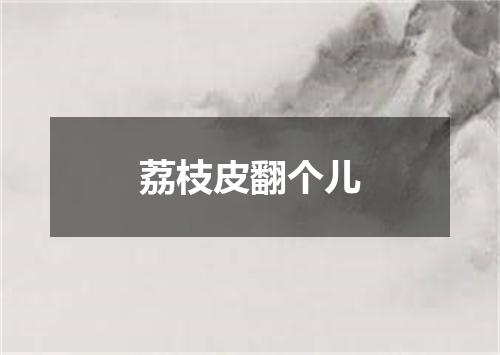 荔枝皮翻个儿